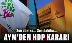 Anayasa Mahkemesi'nden HDP'ye hazine yardımı kararı
