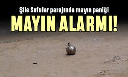 İstanbul Şile plajında mayın alarmı