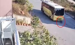 Vahşet; Tuzla'da özel halk otobüsü yolda yatan köpeği ezip kaçtı