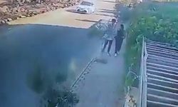 Urfa'da yoldaki fidanı kıran liseli genç gözaltına alındı