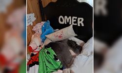 Yatak keyfi yapan Omer isimli domuzun videosu viral oldu