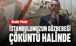 Mahir Polat: İstanbul’umuzun gözbebeği çöküntü halinde