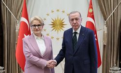 Akşener yeni imajıyla Erdoğan'la görüştü, arşiv açıldı