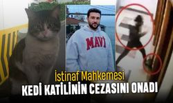 İstinaf Mahkemesi Eros kedi katili İbrahim Keloğlan'ın cezasını onadı