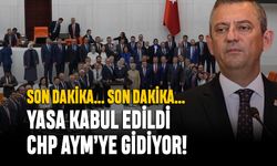 Başıboş köpek yasası kabul edildi; CHP, AYM'ye gidiyor