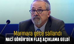 Marmara sallandı, deprem uzmanı Naci Görür’den açıklama geldi