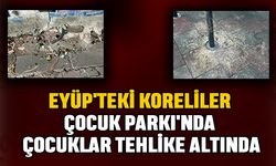 Eyüp'teki Koreliler Çocuk Parkı'nda Çocuklar Tehlike Altında