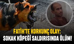 Fatih'te Korkunç Olay: Sokak Köpeği Saldırısında Ölüm!