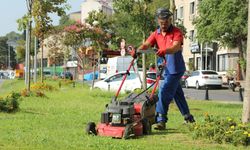 Kağıthane'de çevre daha da güzelleşiyor