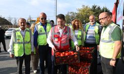 Çiftçinin perişan haline sessiz kalmadı