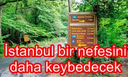 "İstanbul bir nefes borusunu daha kaybedecek"