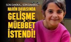 Son dakika; Narin davasında gelişme, o isimlere müebbet istendi