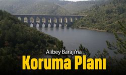 Alibey Barajı’na koruma planı