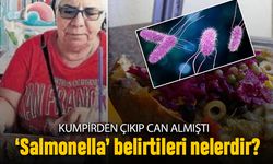 Kumpirden çıkıp öldüren Salmonella bakterisi belirtileri nelerdir?