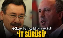 Melih Gökçek ile Muharrem İnce birbirine girdi; İt sürüsü