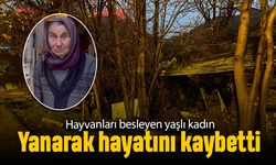 Ankara'da hayvanları besleyen yaşlı kadın yanarak hayatını kaybetti