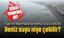 Ege ve Marmara'da deniz suyu çekildi, sebebi yanardağ depremleri mi?