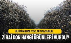 Fiyatlar fırlayabilir; Zirai don hangi ürünleri vurdu?