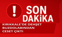 Kırıkkale'de kan donduran olay: Buzdolabından cansız beden