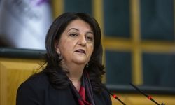 DEM Parti’de meclis başkanvekili belli oldu