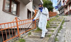 Kâğıthane’de Yaz Boyu Haşereyle Etkin Mücadele