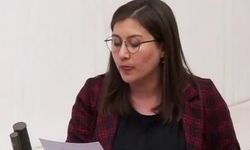 DEM'li milletvekilinden Meclis'te Kürtçe 'Allah Belanızı Versin'