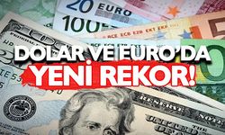 Dolar ve Euro’dan Yeni Rekor! Döviz Kurları 17 Haziran 2025'te Ne Kadar Oldu?