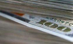 Dünyada dolar milyoneri sayısı en çok Türkiye'de arttı