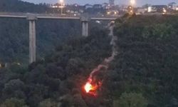 Beykoz'da işaret fişeği atıp yangın çıkaran şahıs tutuklandı