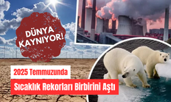 Dünya Kaynıyor: 2025 Temmuzunda Sıcaklık Rekorları Birbirini Aştı