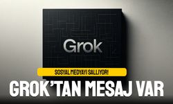 Grok'a erişim engeli mi getirildi?