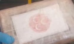 Sınırda yakalanan üç hilal paketli kokainler şok etti