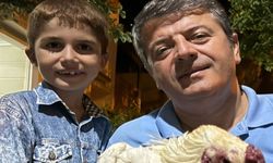 Çocuktan Tutdere’ye masum hediye; Yetiştirdiği horozu getirdi