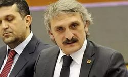 "Yeliz" lakaplı Çamlı, şimdi de Öcalan'la Atatürk'ü kıyasladı
