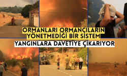 ‘Ormanları Ormancıların Yönetmediği Bir Sistem Yangınlara Davetiye Çıkarıyor’