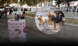 Son dakika; İstanbul Valiliği'nden SMA ve sokak hayvanları kararı