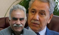 Bülent Arınç: İmralı'ya ben giderim