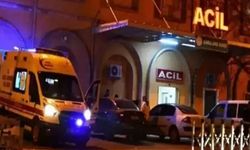 Mardin'de Anne, Baba ve 5 Yaşındaki Çocuk Evlerinde Başlarından Vurulmuş Halde Ölü Bulundu