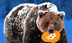 Bitcoin ve Kripto Piyasasında Neler Oluyor; Ayı Mı Geldi?