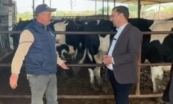 CHP’li Vekil Besicilerin Sorunlarını Dinledi: “Paranın Yarısı Kirece Gidiyor, Hayvancılığı Bırakma Noktasına Geldik"