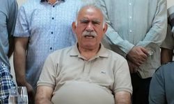 Çarpıcı iddia: “Öcalan serbest kalacak, yeni parti kuracak”