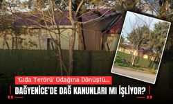 DAĞYENİCE’DE DAĞ KANUNLARI MI İŞLİYOR?