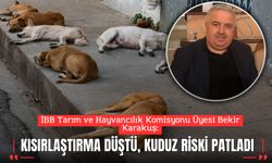KISIRLAŞTIRMA DÜŞTÜ, KUDUZ RİSKİ PATLADI