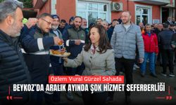 Özlem Vural Gürzel Sahada: Beykoz’da aralık ayında şok hizmet seferberliği