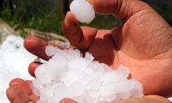 Tarıma Zirai Don Darbesi; Yeni Yılda da Fiyatlar Tutulamayacak