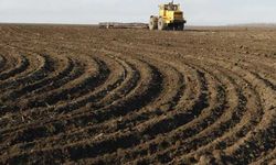 Tarımda 24 yılın dibi