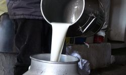 2026 çiğ süt tavsiye fiyatı belli oldu
