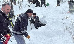 Van Çatak’ta Çığ Faciası: 1 Kadın Hayatını Kaybetti, 22 Ev Boşaltıldı