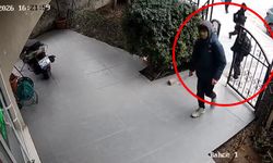 Torpil satışı neden var? İstanbul'da veterinere torpil atan çocuklar kameraya yakalandı