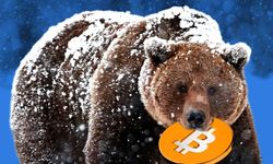 Kripto Paralarda Sert Düşüş: Bitcoin "Kripto Kışı"na mı Giriyor?